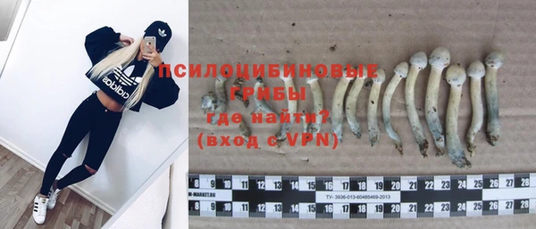 альфа пвп Новокубанск