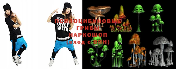 прущие крисы Новозыбков