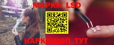 трава Гатчина