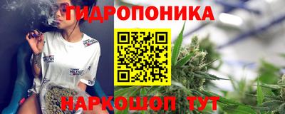 трава Гатчина