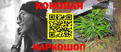 трава Гатчина