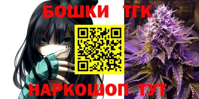 трава Гатчина