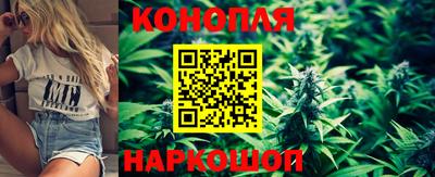 спиды Гагарин