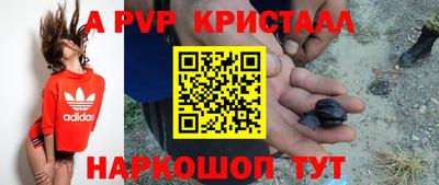 спиды Гагарин