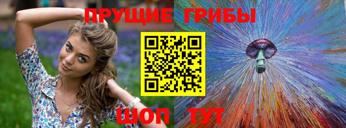 Псилоцибиновые грибы Psilocybe Семилуки