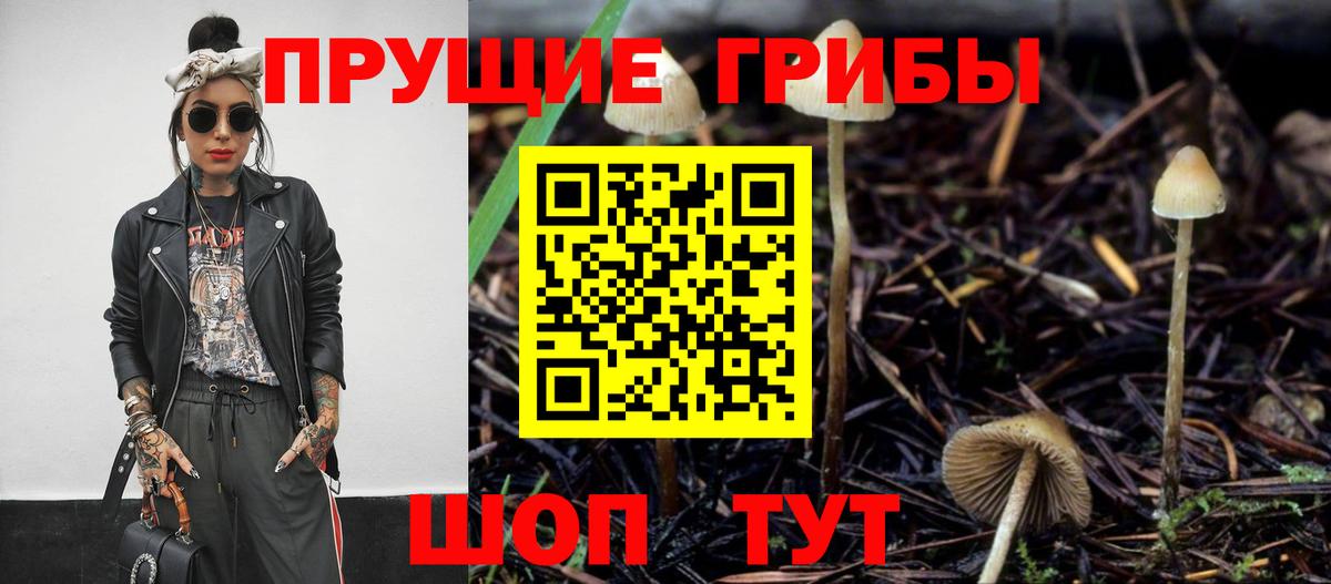 Семилуки  Псилоцибиновые грибы ЛСД  продажа наркотиков  Вход с VPN  Галлюциногенные грибы Magic Shrooms 